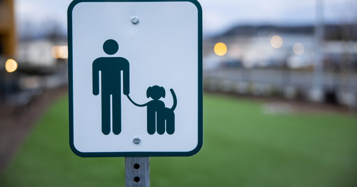 Setting Discount Rules That Hold